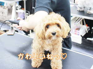 かわいいねって言ってみました☆